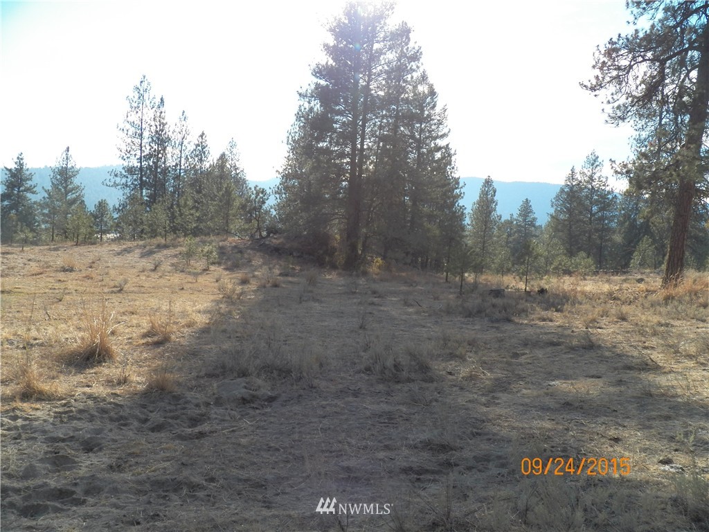 62 Main Road Tonasket, WA 98855 - Photo 12 of 12