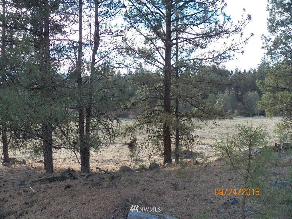 62 Main Road Tonasket, WA 98855 - Photo 3 of 12
