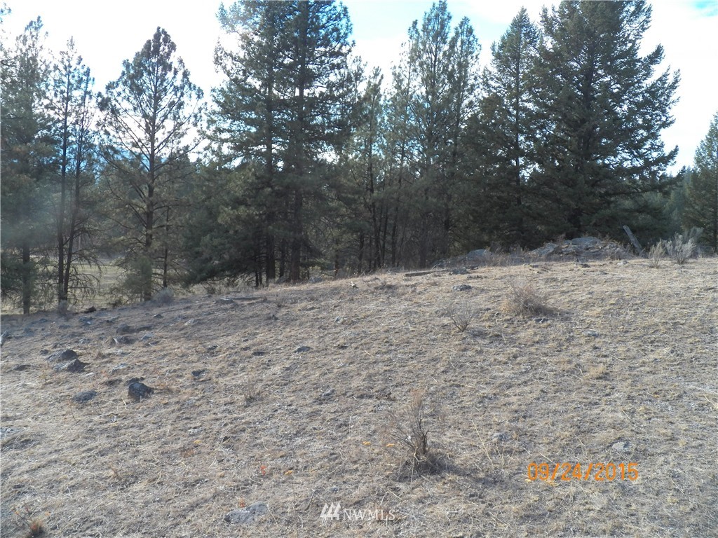 62 Main Road Tonasket, WA 98855 - Photo 5 of 12