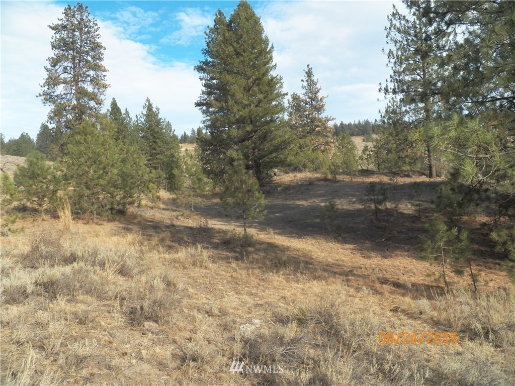 62 Main Road Tonasket, WA 98855 - Photo 7 of 12