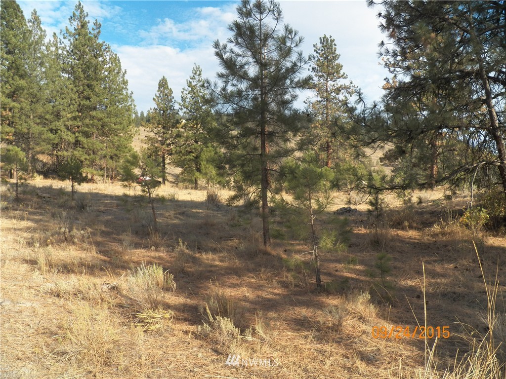 62 Main Road Tonasket, WA 98855 - Photo 10 of 12