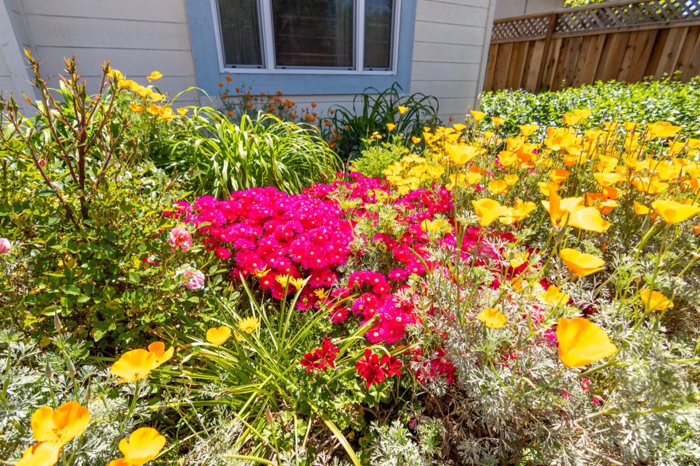661 Cambrian Drive Campbell, CA 95008 - Photo 27 of 31 a flower view in front of flowers
