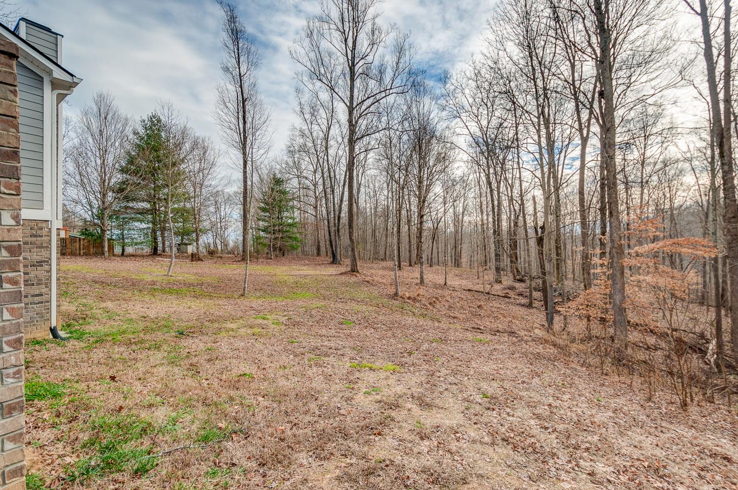 5705 Hopewell Ridge Road Franklin, TN 37064 - Photo 28 of 30 a view of backyard with tree