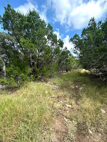 $130,000 | Tbd Lot 4 Tbd Drive, Fischer, TX 78623