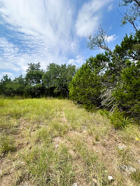 Tbd Lot 4 Tbd Drive Fischer, TX 78623 - Photo 4 of 10