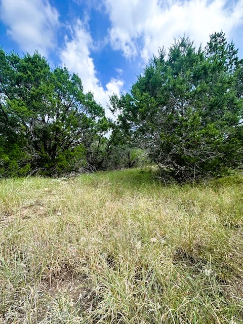 Tbd Lot 4 Tbd Drive Fischer, TX 78623 - Photo 6 of 10