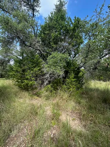 $130,000 | Tbd Lot 4 Tbd Drive, Fischer, TX 78623