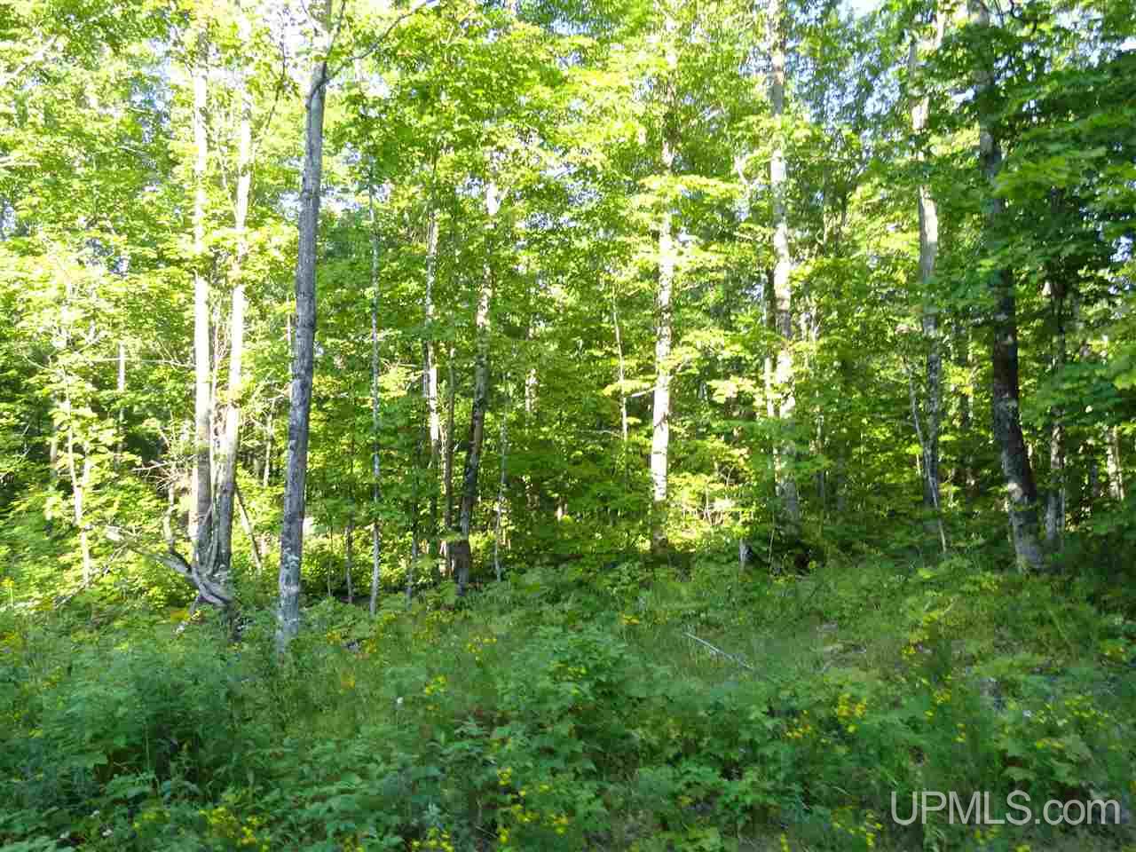 80 SOUTH Off Co Road Ishpeming, MI 49849 - Photo 15 of 20