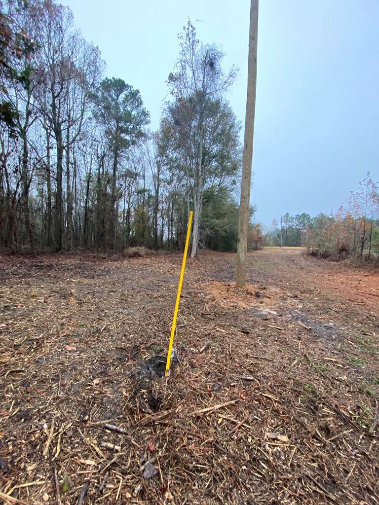 1001 Crawford Creek Road Cowarts, AL 36321 - Photo 10 of 17