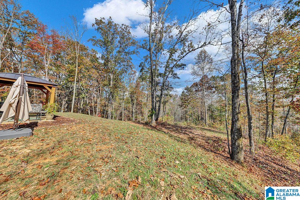 2445 Summit Park Road Odenville, AL 35120 - Photo 28 of 28