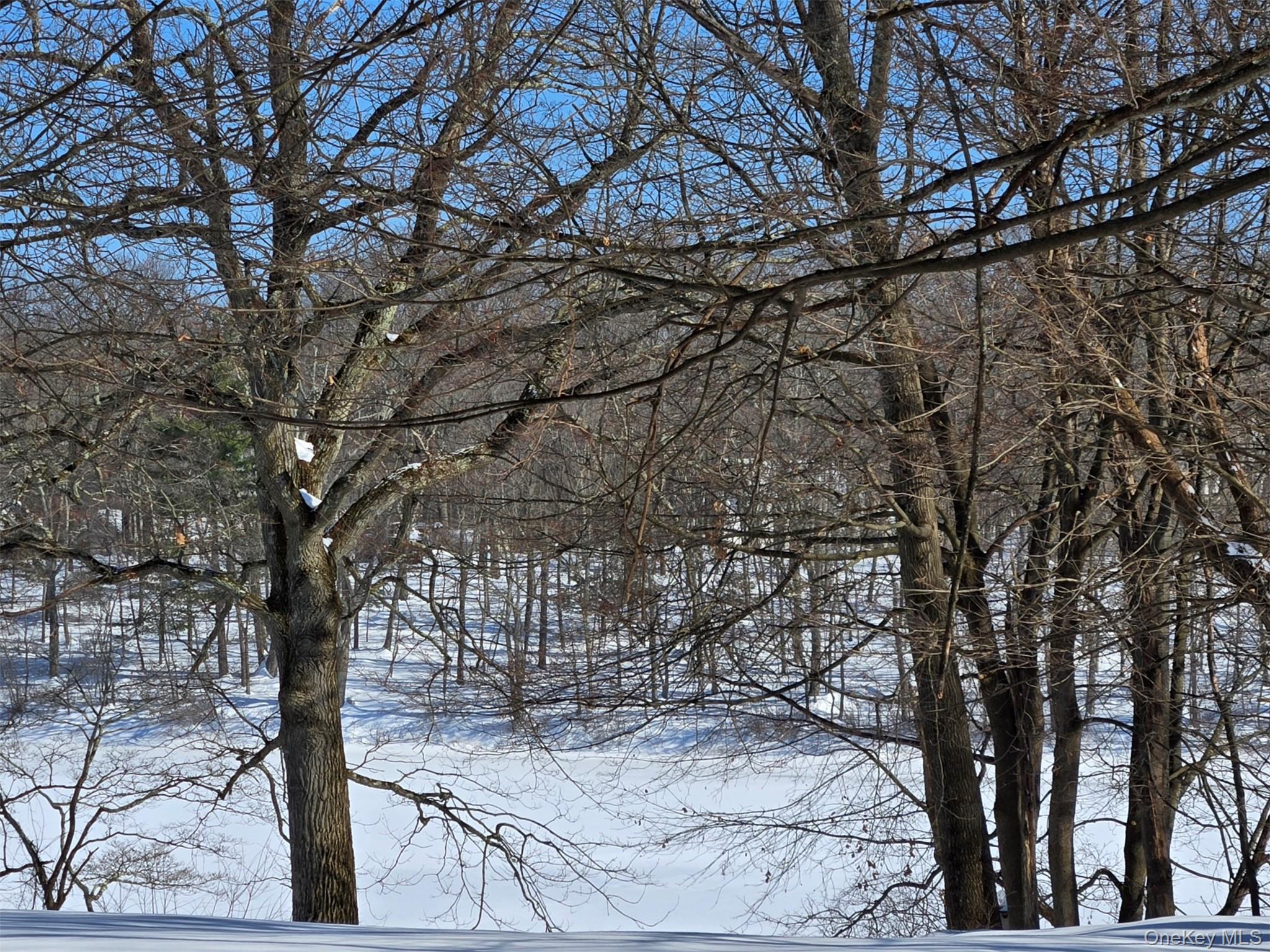101 Highland Road Monroe, NY 10950 - Photo 3 of 3 Snow covered Lake Sapphire