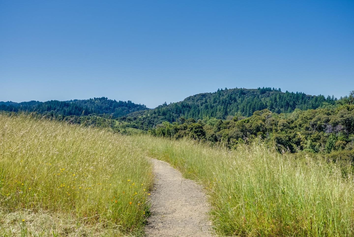 0 Page Mill Road Redwood City, CA 94062 - Photo 37 of 37