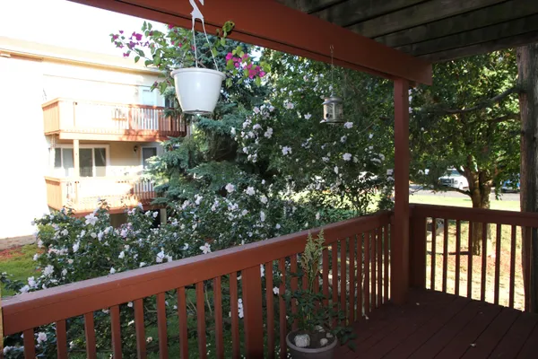 $1,195 | 4190 Packard Street, Unit 4, Ann Arbor, MI 48108