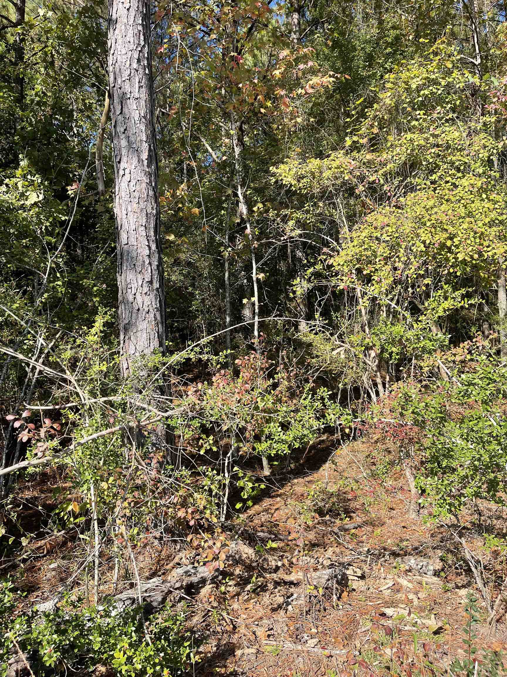 0 Hollinger Road Atmore, AL 36502 - Photo 3 of 3