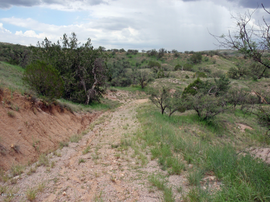 Tbd Wood Canyon Road, Unit 7 Patagonia, AZ 85624 - Photo 1 of 9