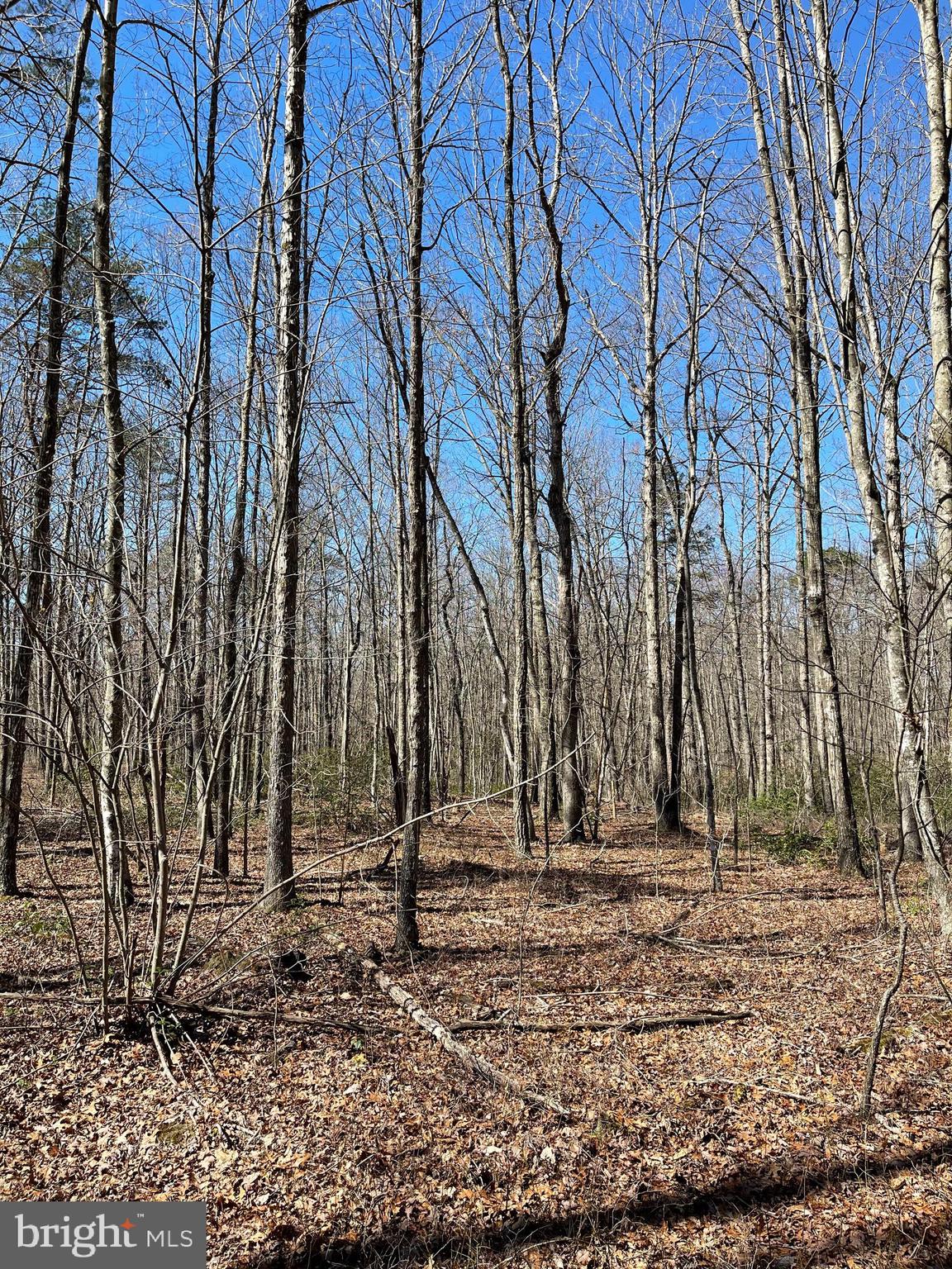 0 Independence Road, Unit LOT 35 Unionville, VA 22567 - Photo 1 of 4 Gallery Image 1