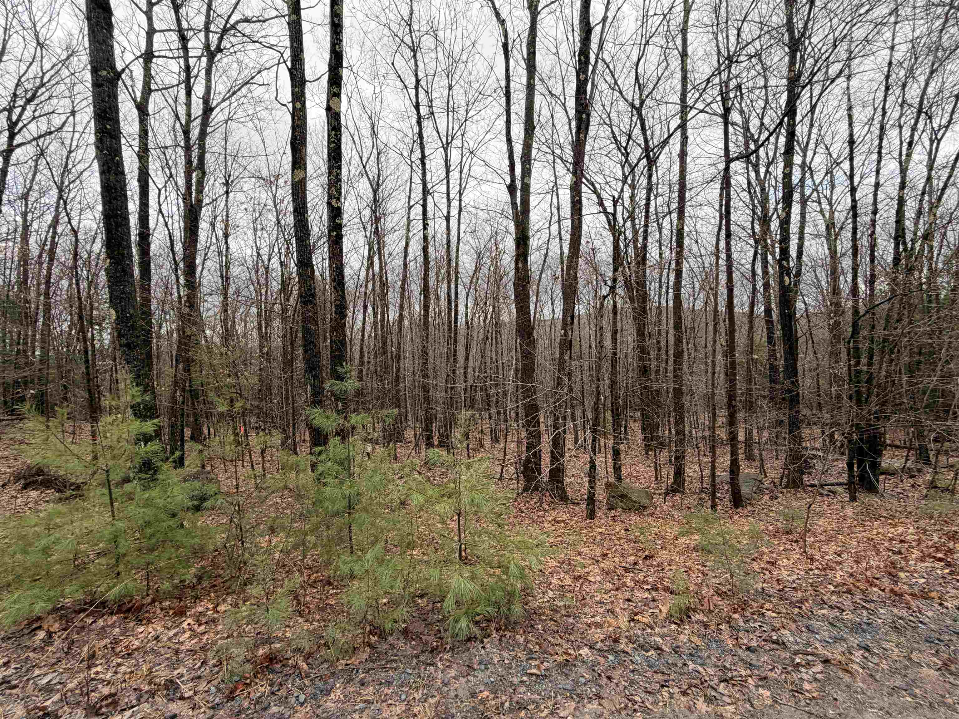 0 Old Walpole/valley View Road Keene, NH 03431 - Photo 5 of 23