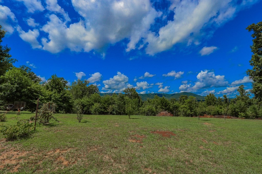12 Cozy Road Newport, TN 37821 - Photo 15 of 40 Gallery Image 15