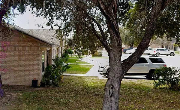 a view of backyard with large trees