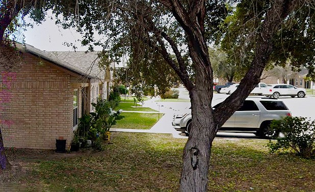 600 North Fairgrounds Road Rio Grande City, TX 78582 - Photo 5 of 6 a view of backyard with large trees