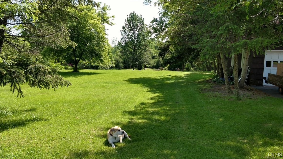 405 Horan Road Camillus, NY 13209 - Photo 9 of 9