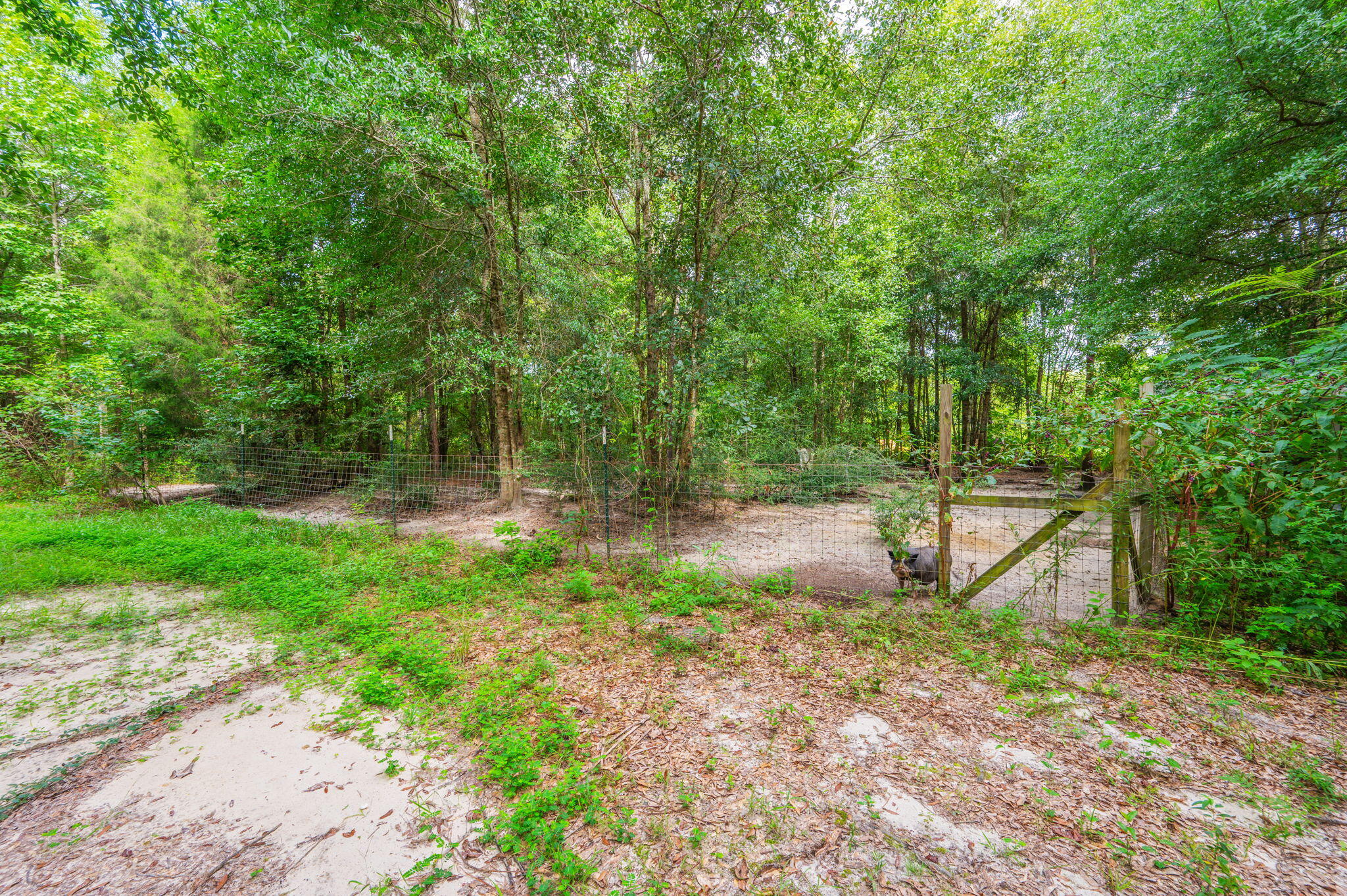 8362 Davis Road Laurel Hill, FL 32567 - Photo 34 of 53 a backyard of a house with lots of green space