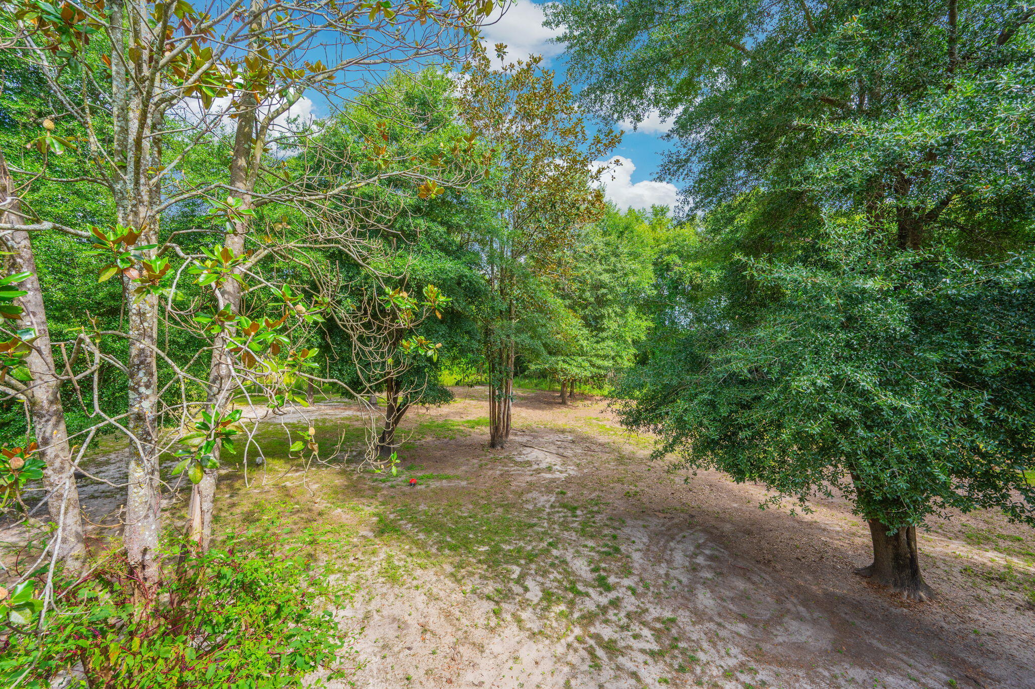 8362 Davis Road Laurel Hill, FL 32567 - Photo 35 of 53 a pathway of a yard