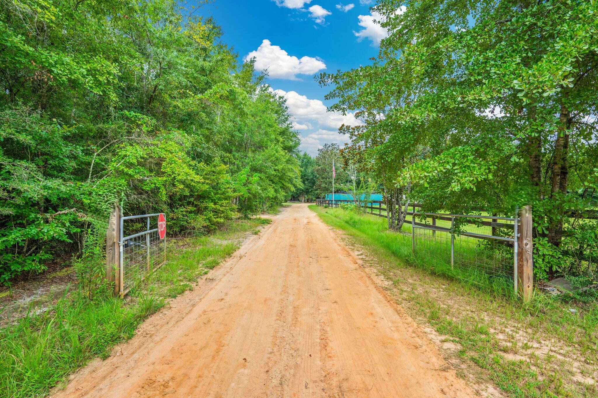 8362 Davis Road Laurel Hill, FL 32567 - Photo 4 of 53 a view of a park with large trees