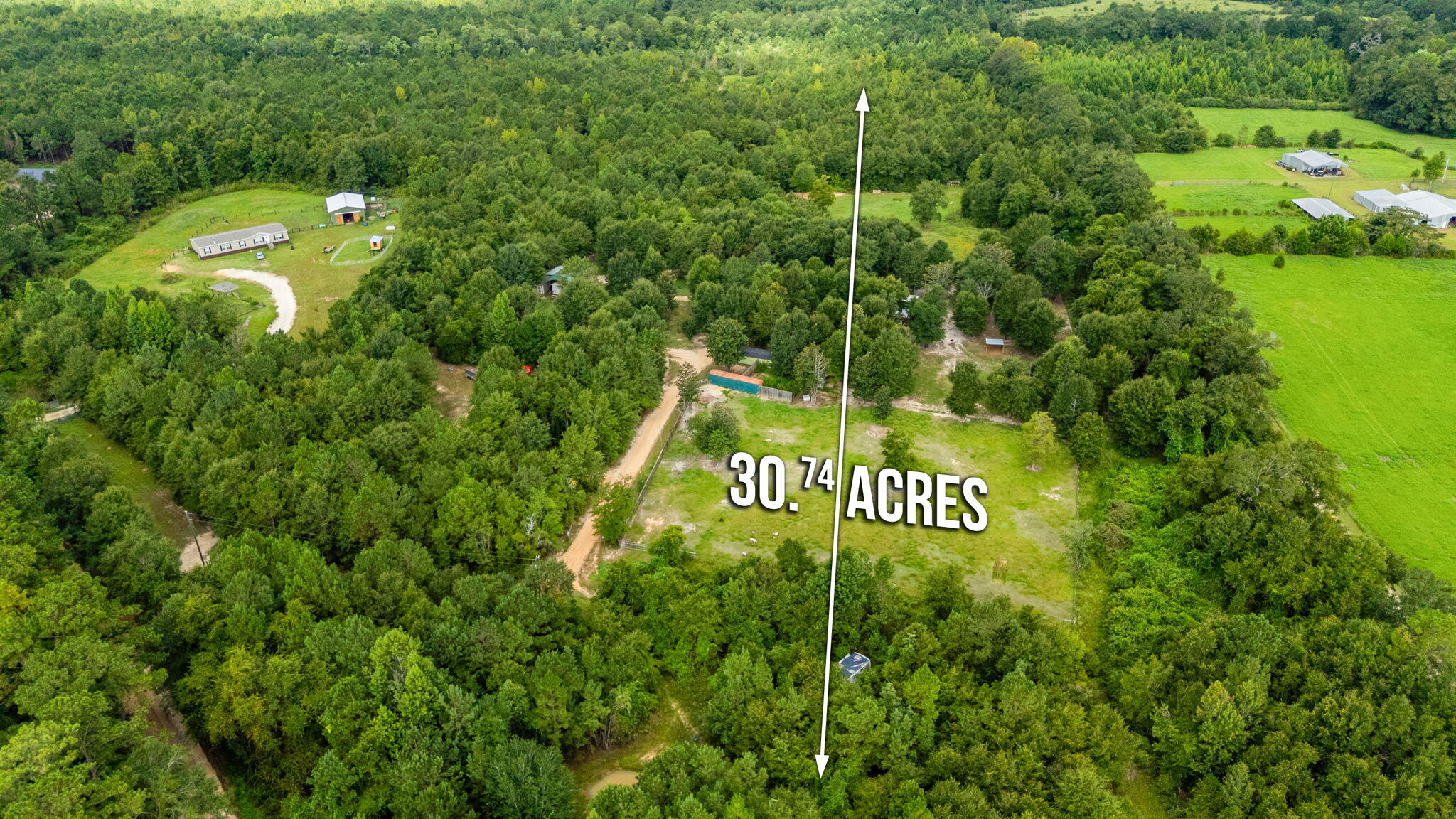 8362 Davis Road Laurel Hill, FL 32567 - Photo 41 of 53 a sign that is sitting in a tall tree