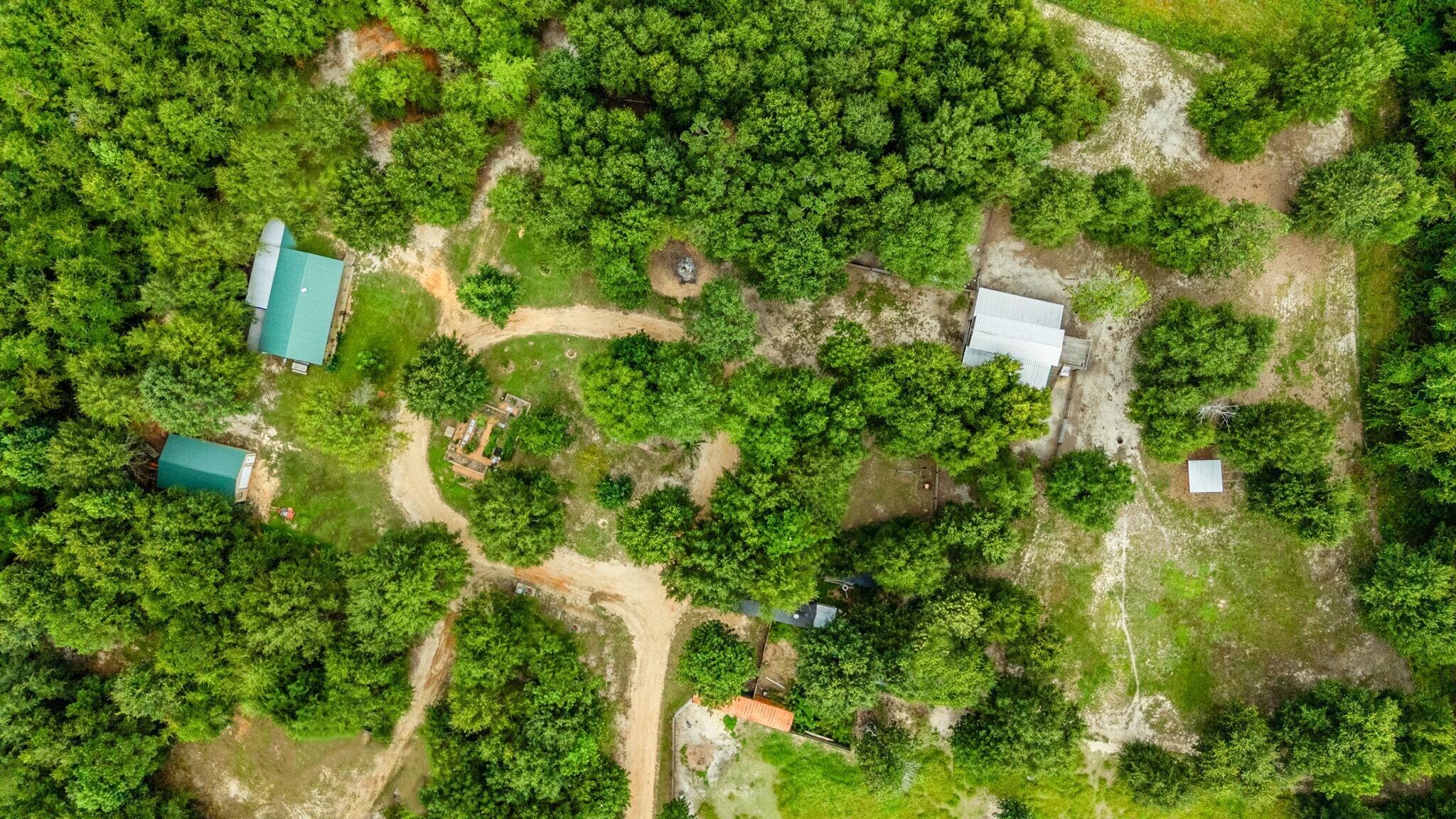 8362 Davis Road Laurel Hill, FL 32567 - Photo 47 of 53 an aerial view of residential house with outdoor space and trees all around