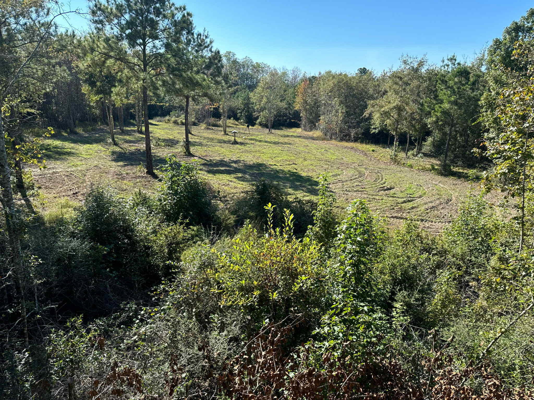 8362 Davis Road Laurel Hill, FL 32567 - Photo 5 of 53 a big yard with lots of green space