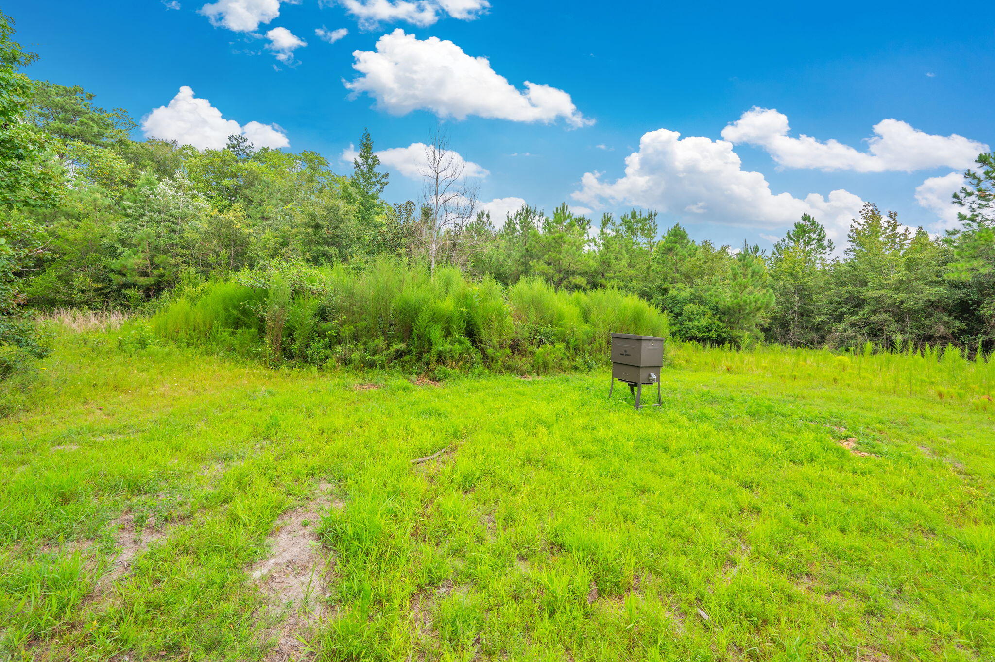 8362 Davis Road Laurel Hill, FL 32567 - Photo 7 of 53 a view of a garden with a building in the background