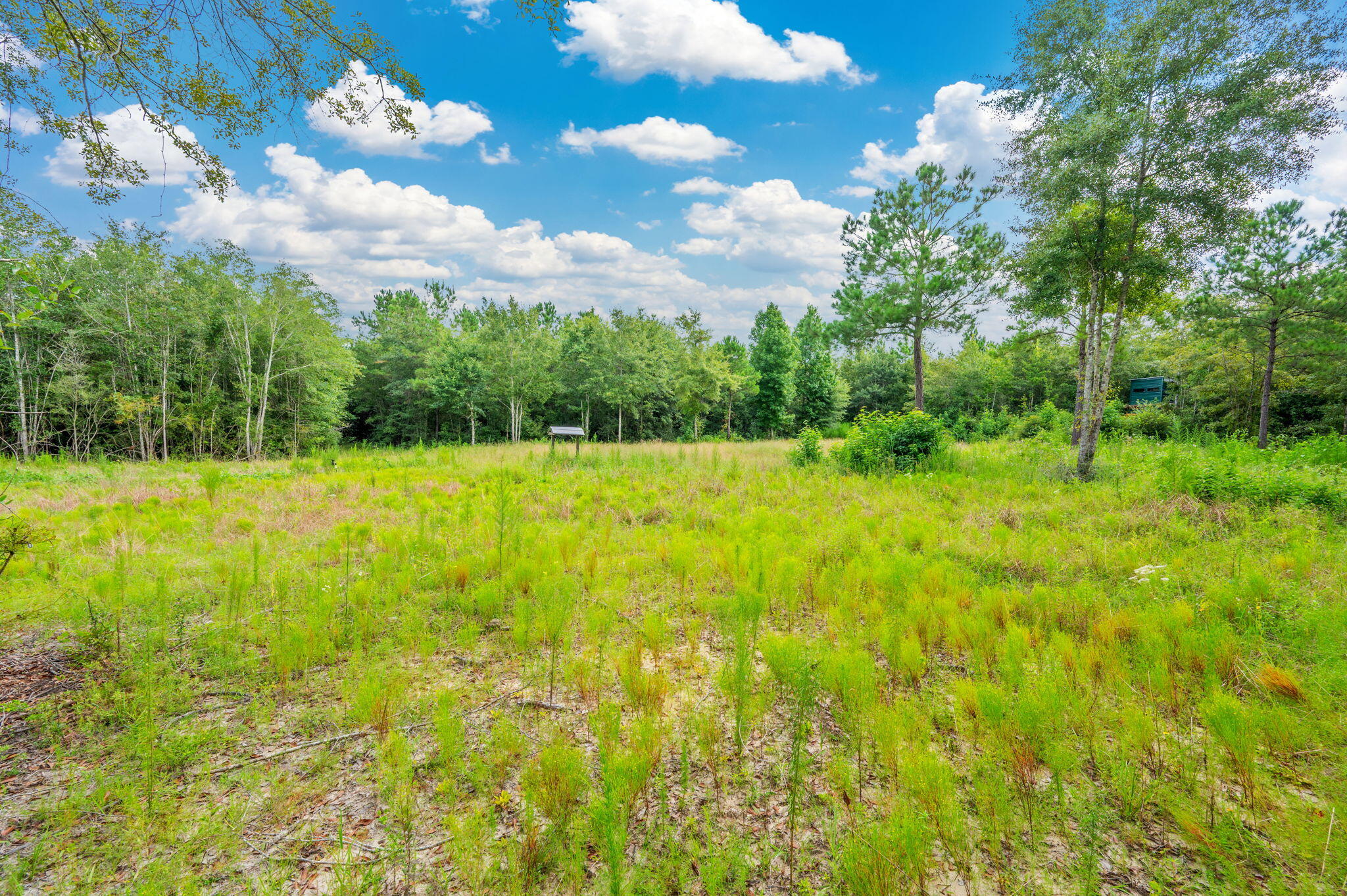 8362 Davis Road Laurel Hill, FL 32567 - Photo 8 of 53 a view of an outdoor space and swimming pool