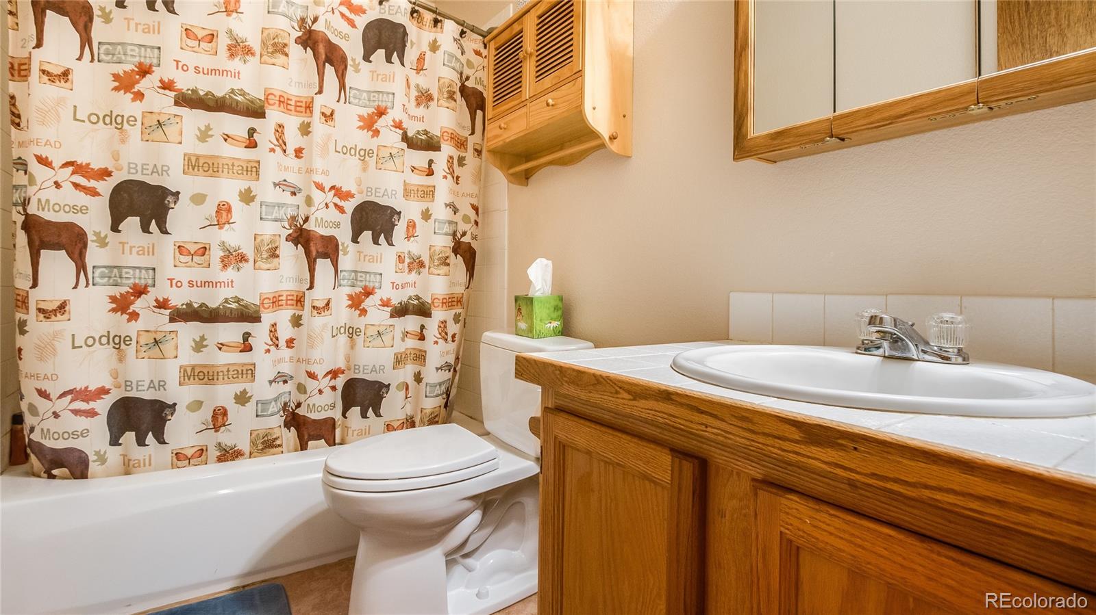 302 Bishop Road Bailey, CO 80421 - Photo 13 of 19 a bathroom with a sink toilet and shower
