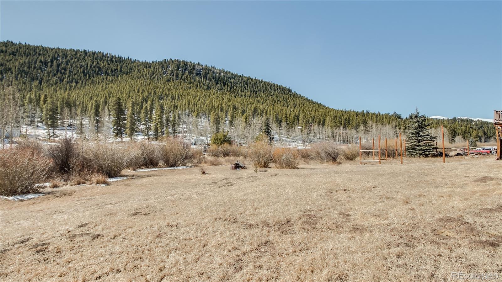 302 Bishop Road Bailey, CO 80421 - Photo 16 of 19 a view of a dry yard with mountain and trees
