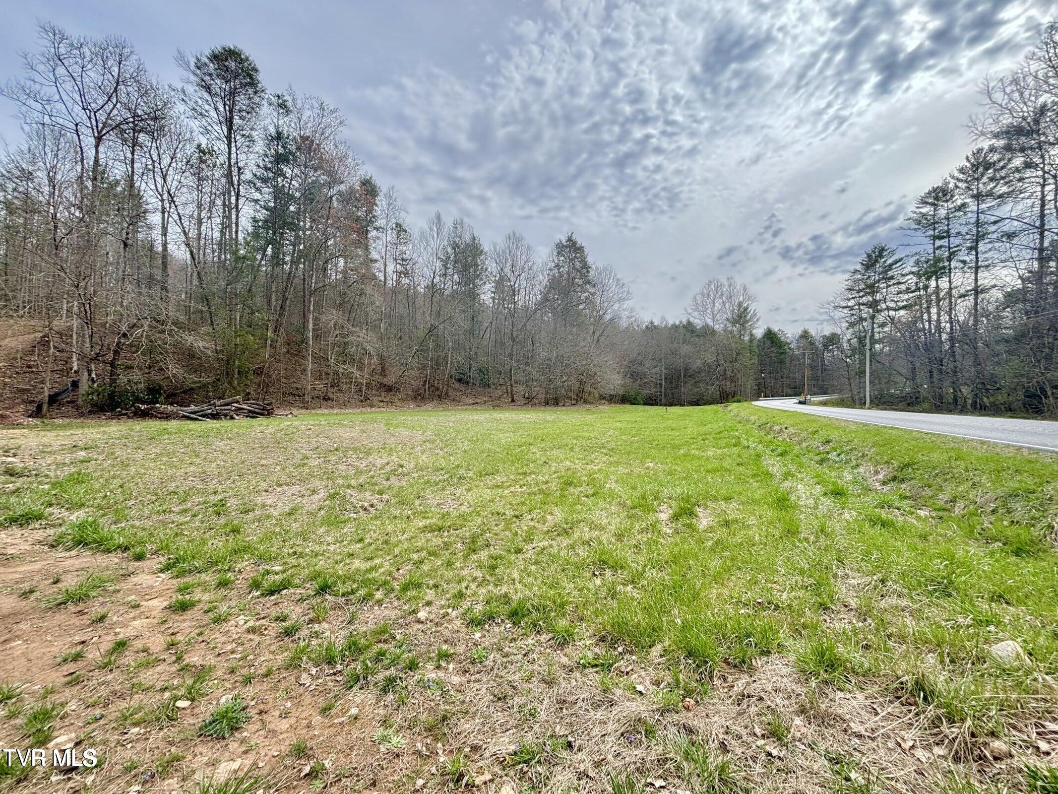 Tbd Scioto Road Elizabethton, TN 37643 - Photo 1 of 14 1