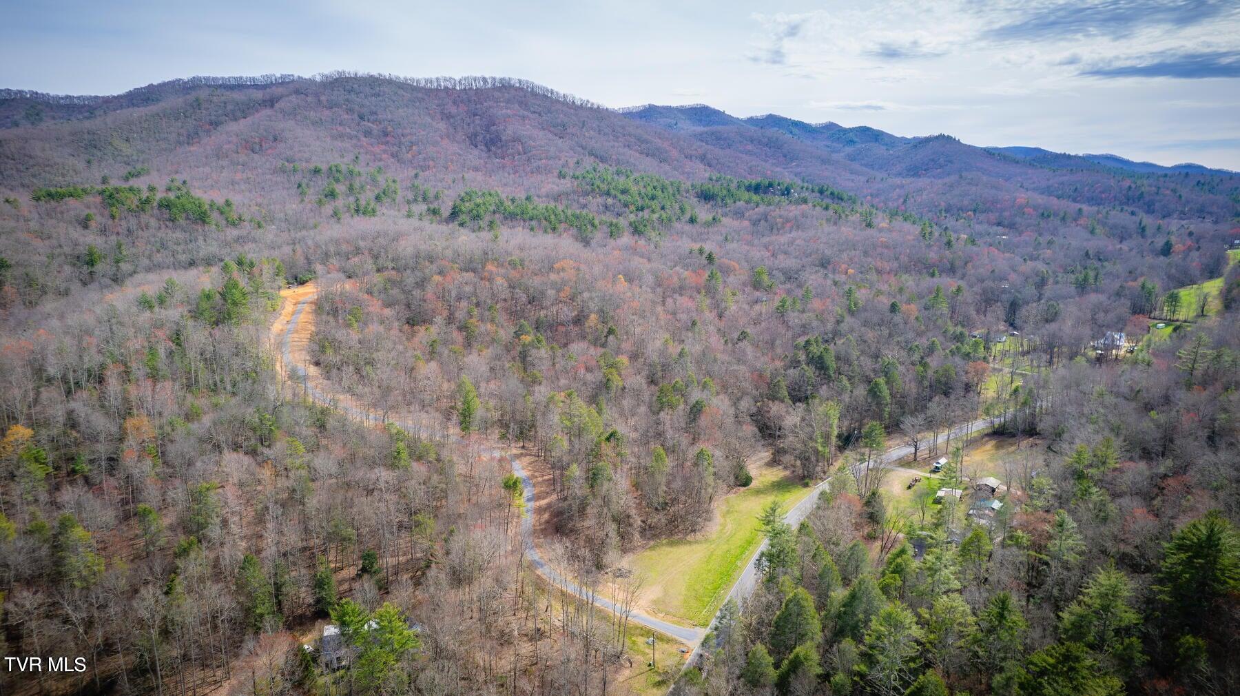 Tbd Scioto Road Elizabethton, TN 37643 - Photo 12 of 14 12