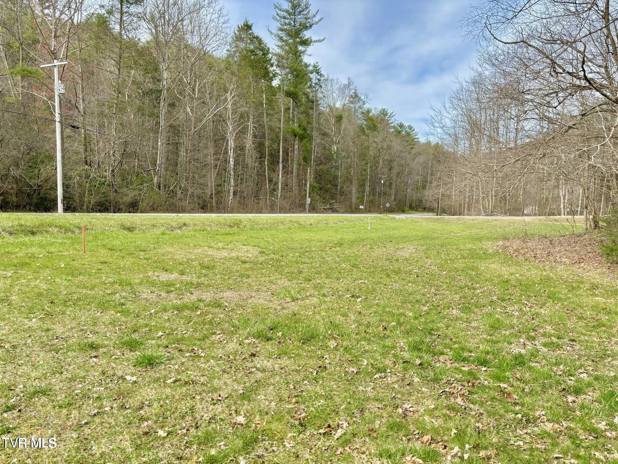 Tbd Scioto Road Elizabethton, TN 37643 - Photo 4 of 14 4