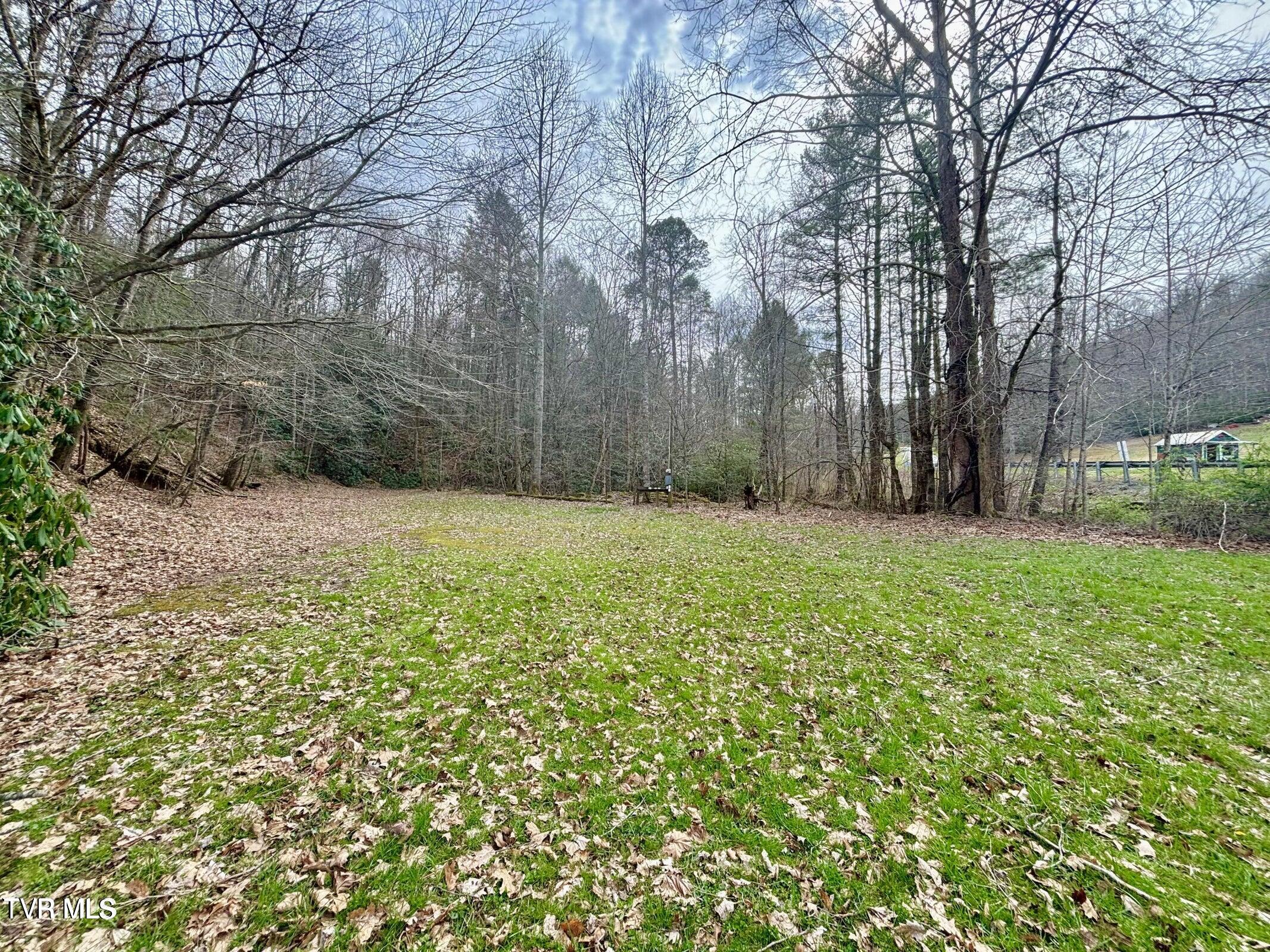 Tbd Scioto Road Elizabethton, TN 37643 - Photo 6 of 14 6