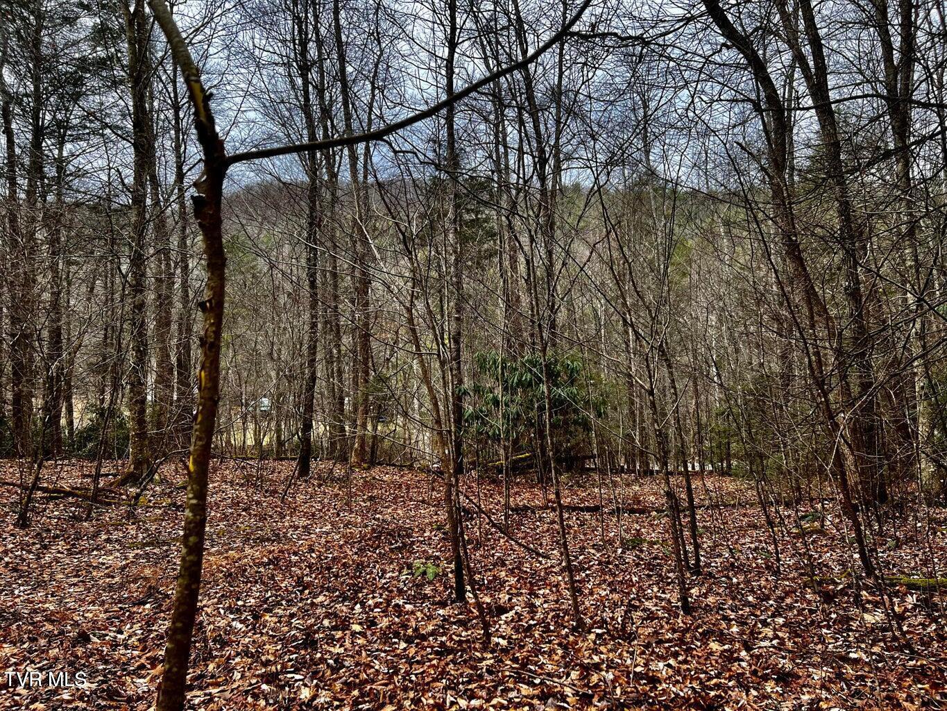 Tbd Scioto Road Elizabethton, TN 37643 - Photo 8 of 14 8