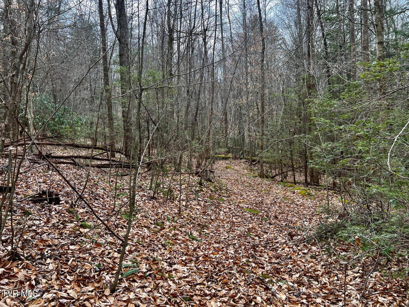 Tbd Scioto Road Elizabethton, TN 37643 - Photo 9 of 14 9