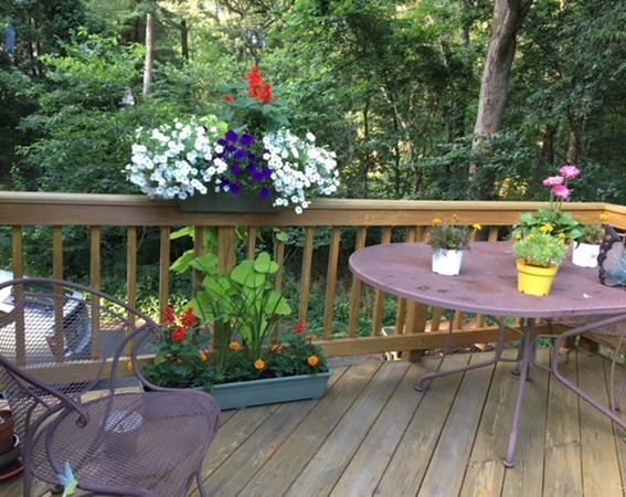 57 Rice Road Wayland, MA 01778 - Photo 18 of 24 Gallery Image 18