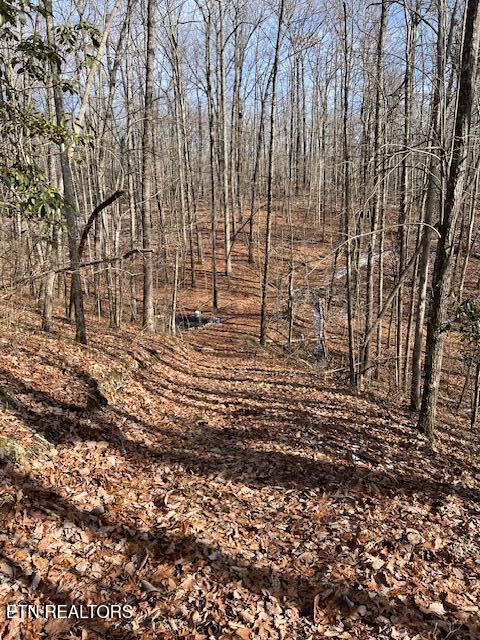 Pinney Place Monterey, TN 38574 - Photo 1 of 7 1