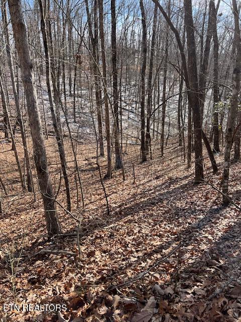 Pinney Place Monterey, TN 38574 - Photo 5 of 7 4