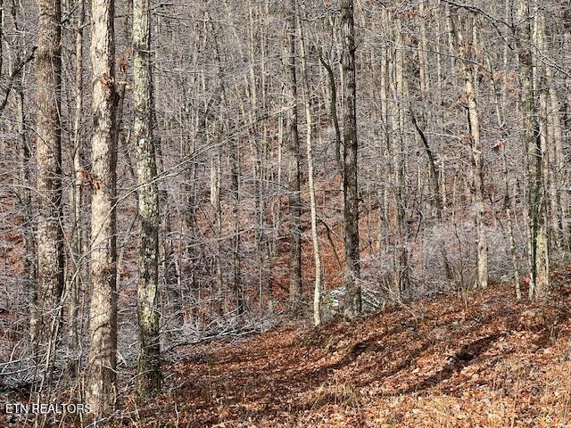 Pinney Place Monterey, TN 38574 - Photo 6 of 7 12 4 3