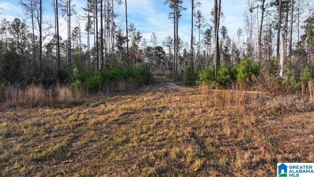 200 Kelly Creek Road Odenville, AL 35120 - Photo 18 of 47