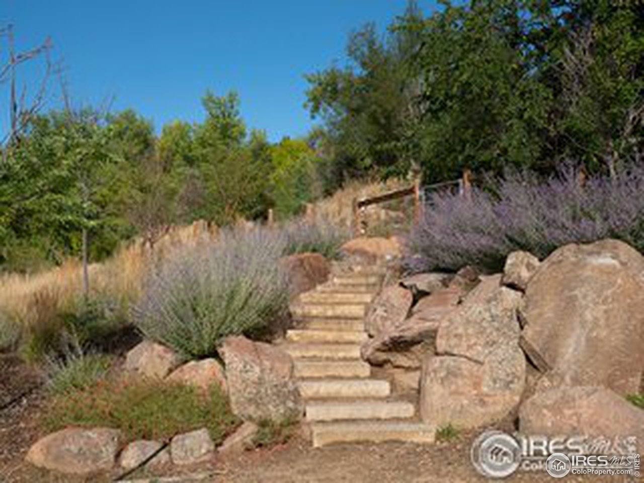 2555 3rd Street Boulder, CO 80304 - Photo 20 of 29 a view of a garden