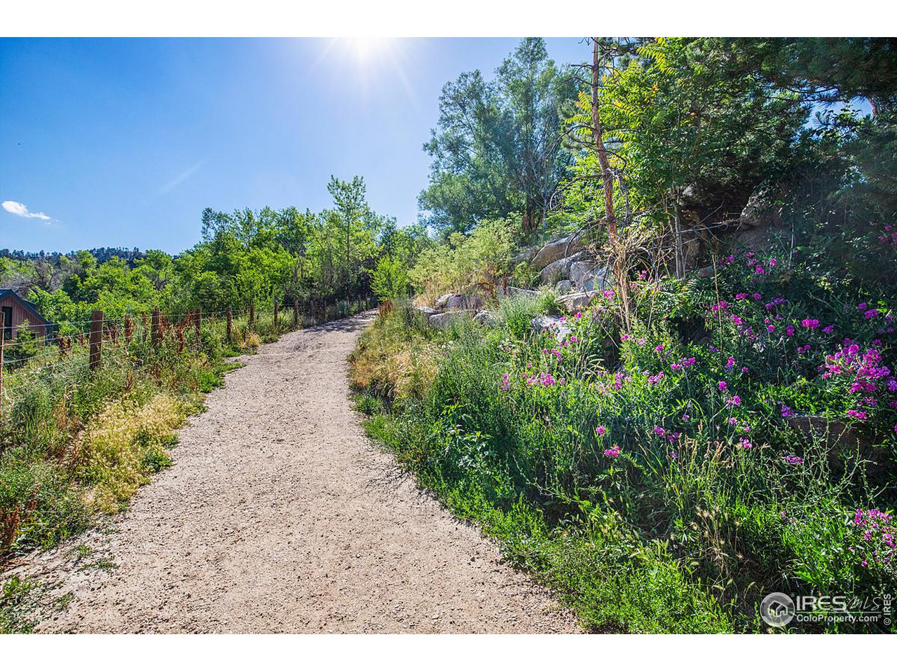 2555 3rd Street Boulder, CO 80304 - Photo 28 of 29 a backyard of a house with lots of green space