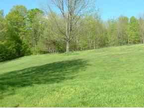 538 South Stream Road Bennington, VT 05201 - Photo 3 of 3