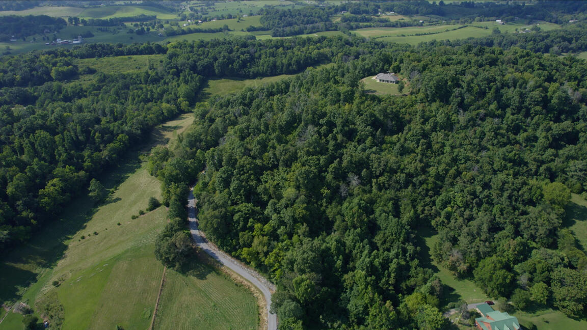 905 Taylor Bridge Road Jonesborough, TN 37659 - Photo 33 of 46 Untitled_1.1.1